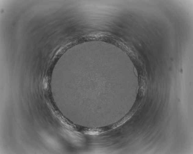 X0000087420758200704201425