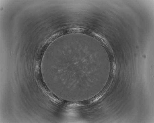 X0000087420759200704201425