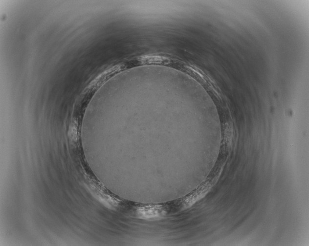 X0000087420761200704201426