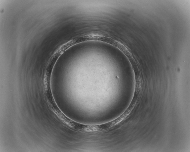 X0000087420762200704201426