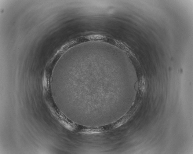 X0000087420763200704201426