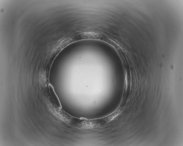 X0000087420764200704201426