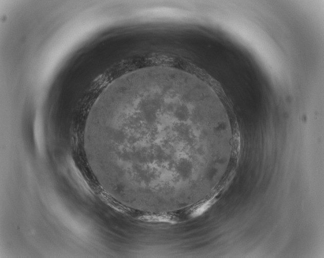 X0000087420765200704201426