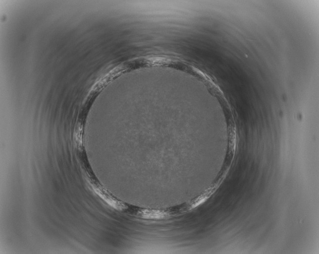 X0000087420766200704201426