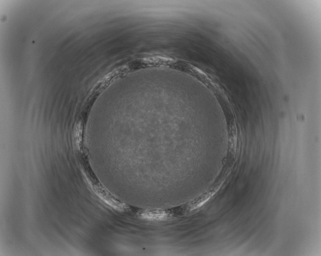 X0000087420767200704201426