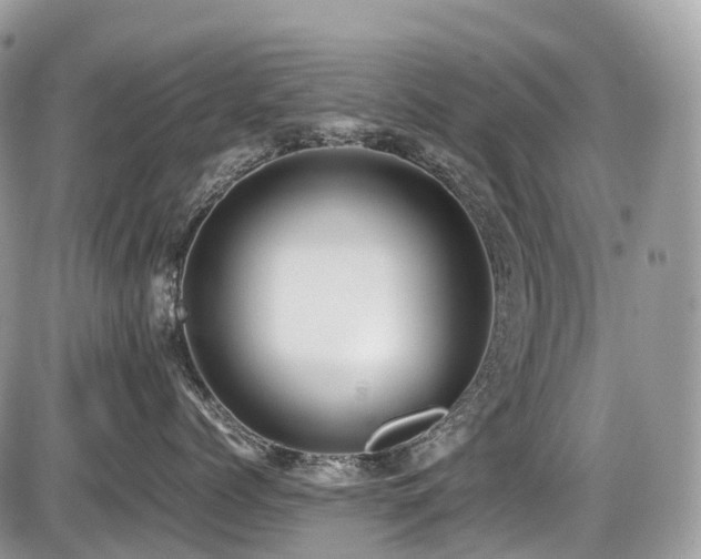 X0000087420768200704201426