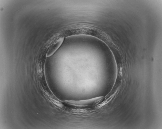 X0000087420771200704201425