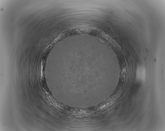 X0000087420772200704201425