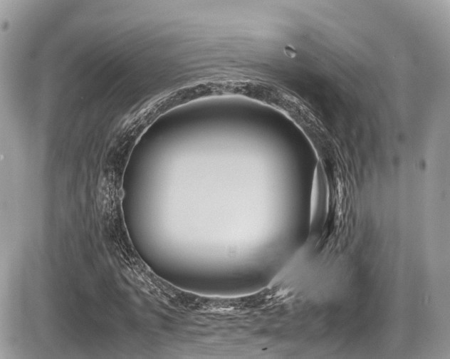 X0000087420773200704201425