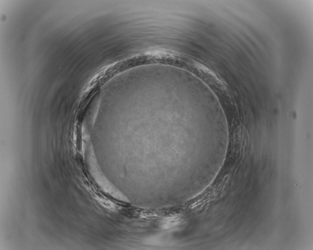 X0000087420776200704201425