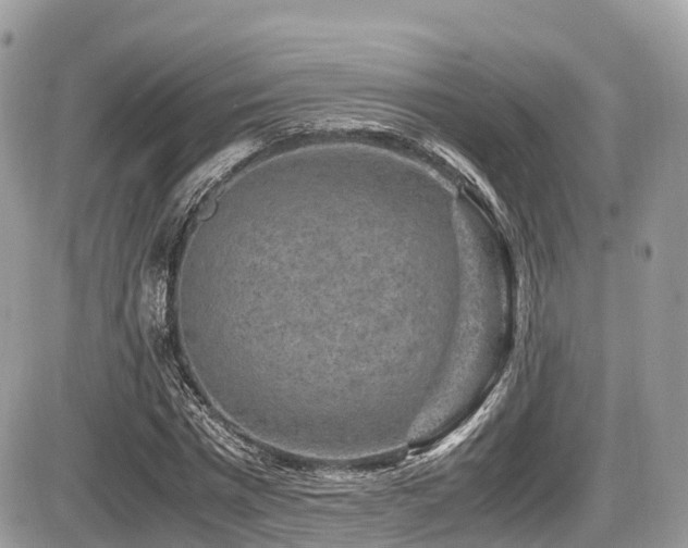 X0000087420777200704201425