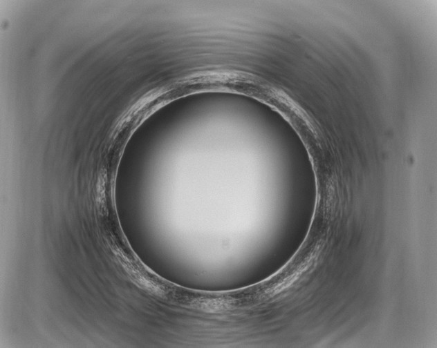 X0000087420778200704201425