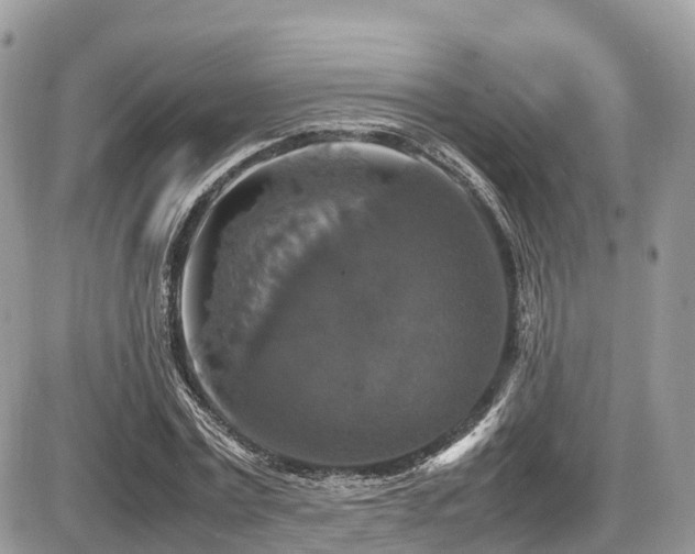 X0000087420779200704201425