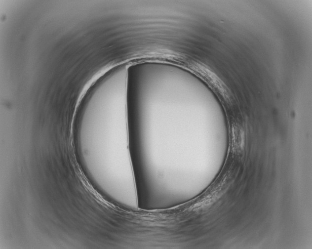 X0000087420780200704201425