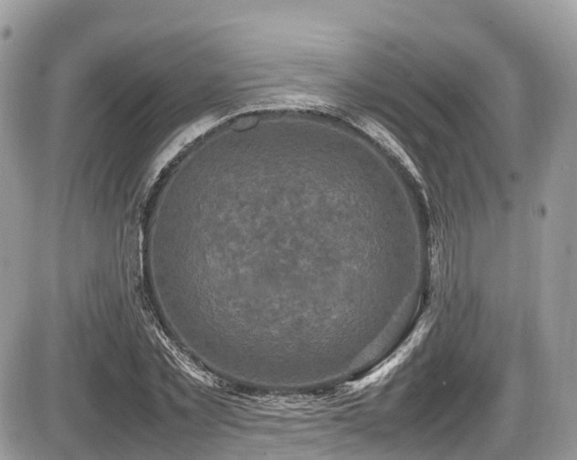 X0000087420781200704201425