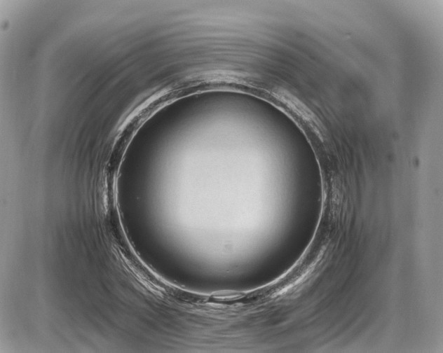 X0000087420782200704201425