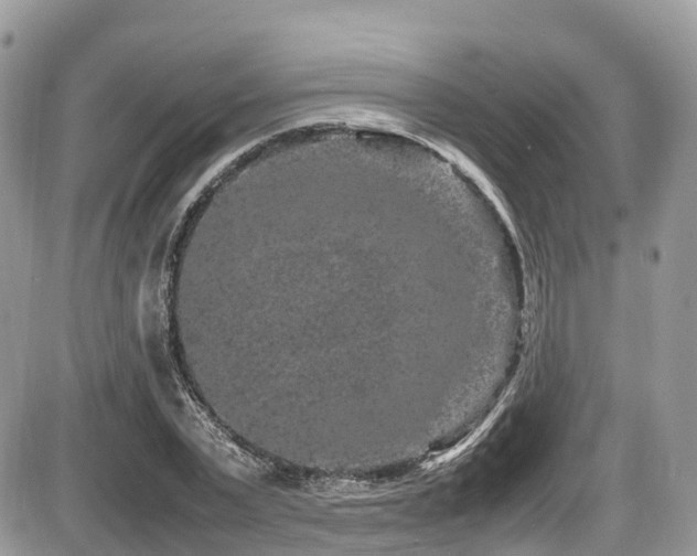 X0000087420783200704201425