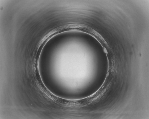 X0000087420786200704201425