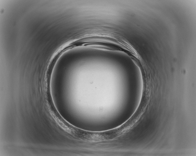 X0000087420787200704201425