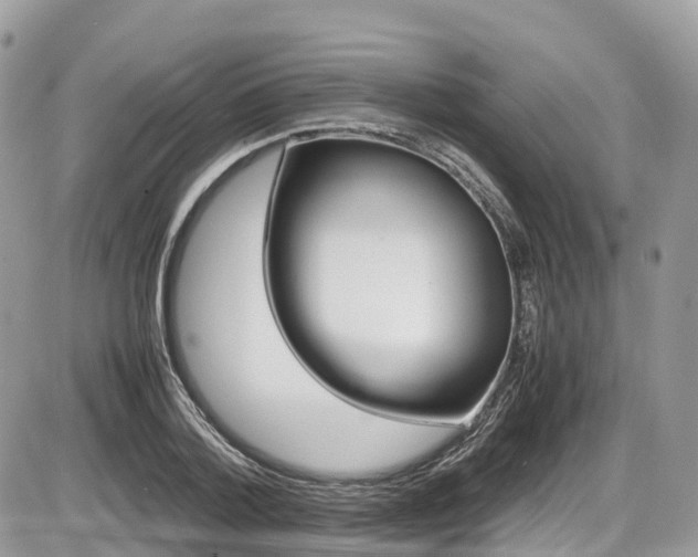 X0000087420788200704201425