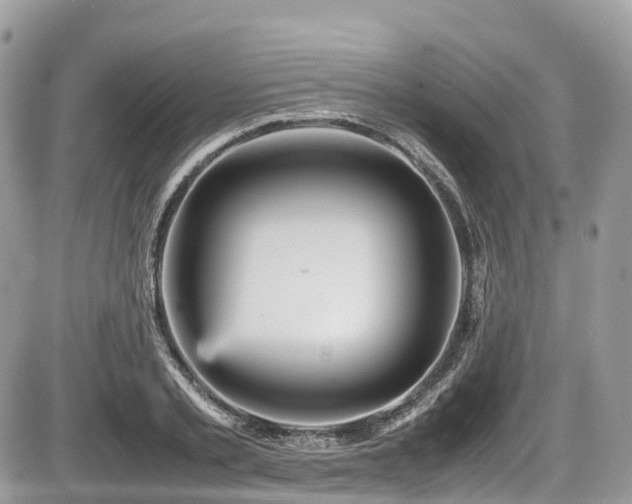 X0000087420789200704201425