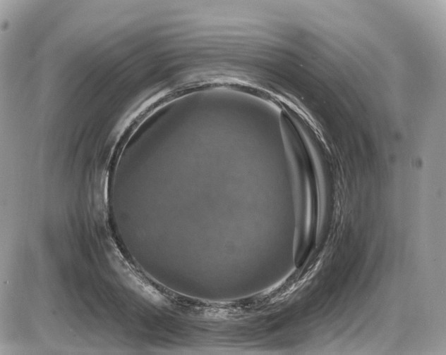 X0000087420790200704201425