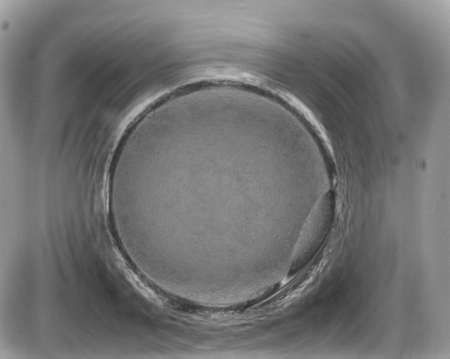 X0000087420791200704201424