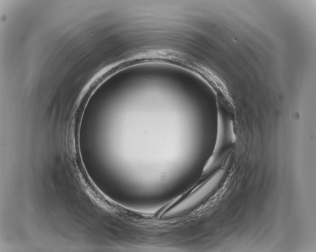 X0000087420792200704201424