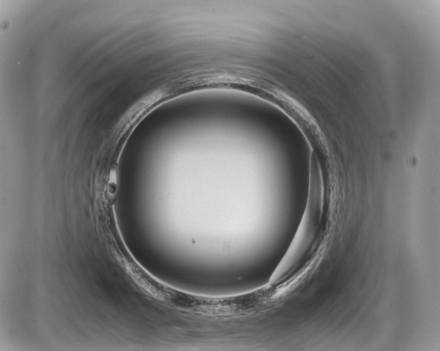 X0000087420793200704201424