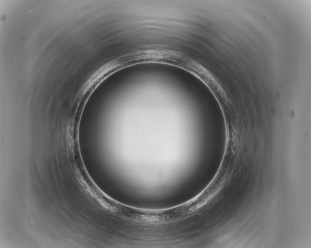 X0000087420794200704201424