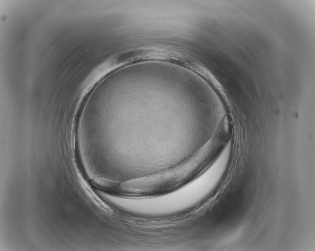 X0000087420795200704201424