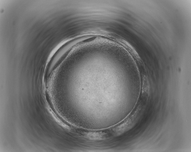 X0000087420796200704201424