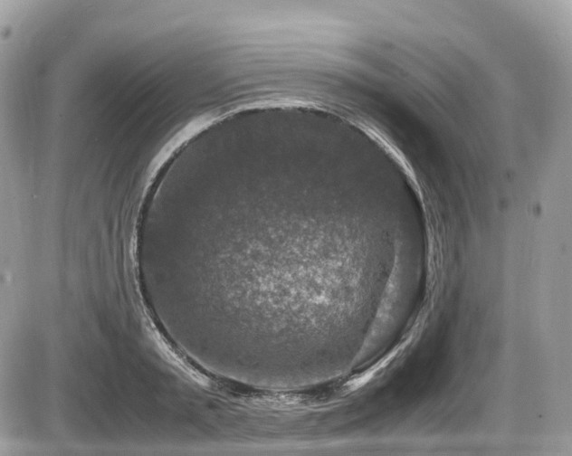 X0000087420797200704201424