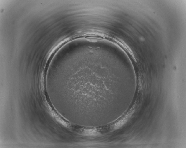 X0000087420798200704201424