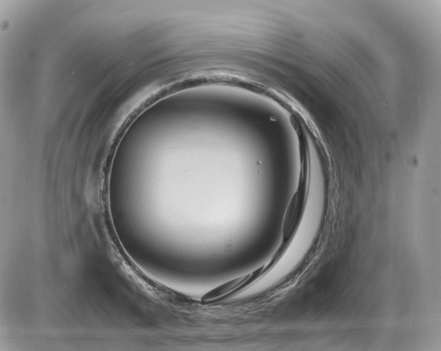 X0000087420799200704201424