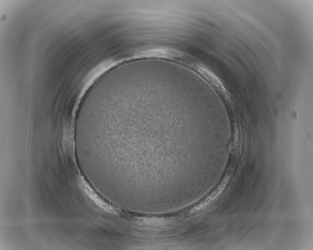 X0000087420800200704201424