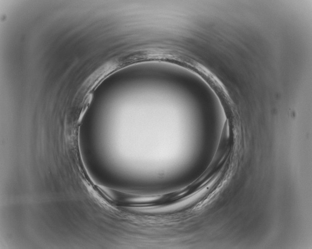 X0000087420801200704201424