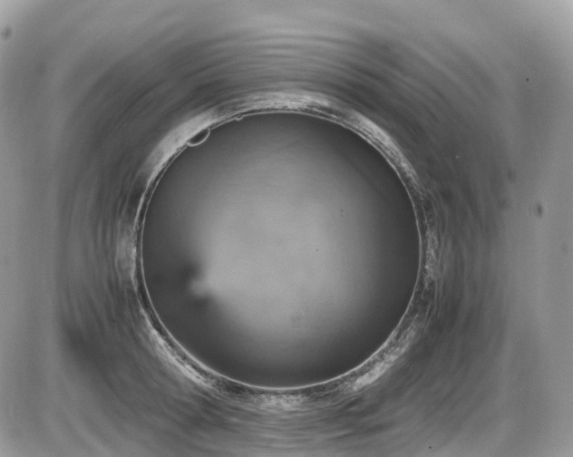 X0000087420802200704201424