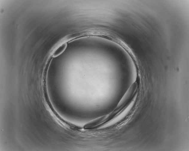 X0000087420803200704201424