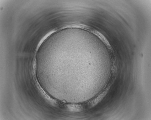 X0000087420804200704201424