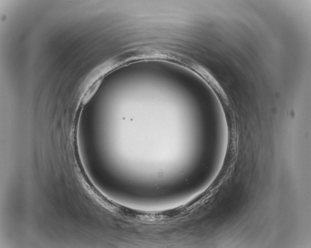 X0000087420805200704201424