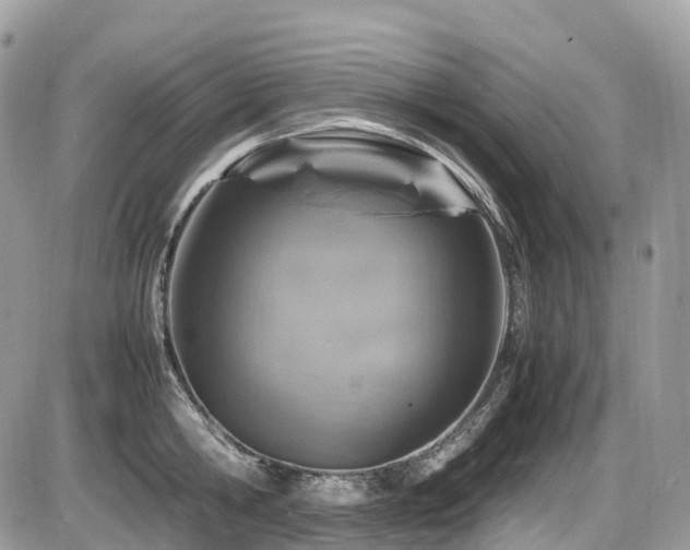 X0000087420806200704201424