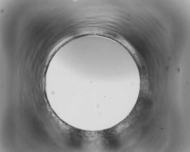 X0000087420807200704201424