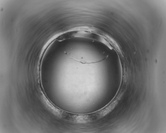 X0000087420808200704201424