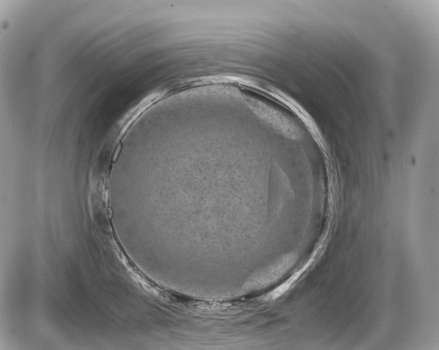 X0000087420809200704201424