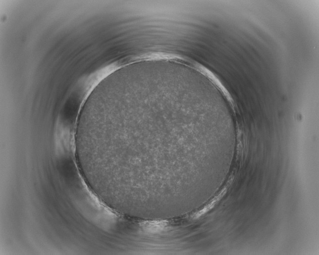 X0000087420810200704201424