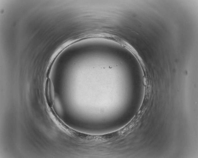 X0000087420811200704201424