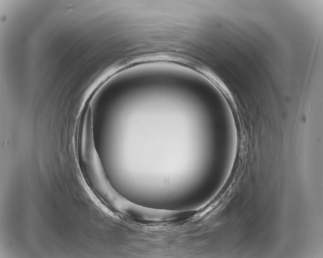 X0000087420813200704201424