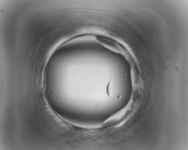 X0000087420815200704201424