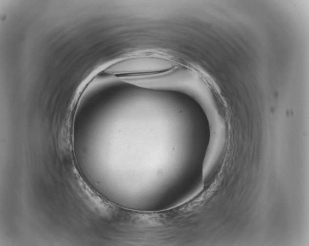 X0000087420816200704201424